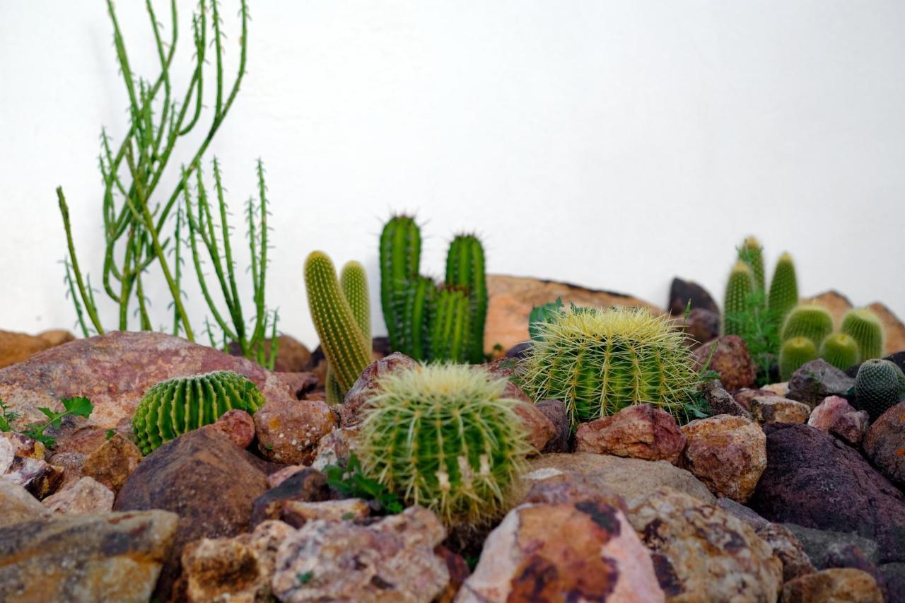 La Posidonia Apartment โรดัลกีลาร์ ภายนอก รูปภาพ